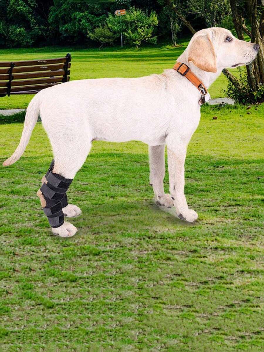 1/2 件前后钩关节支撑狗腿支架，黑色，有助于稳定性 - 黑色 - 查看 1