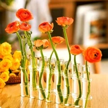 6 Tubes/8 Tubes Creative Foldable Vase Set With Hinge Design Including Hook And Brush,DIY Glass Test Tube Plant Terrarium Flower Pots Desktop Plant Terrarium For Hydroponic Plants Home Garden Wedding Decoration Gifts Birthday Graduation