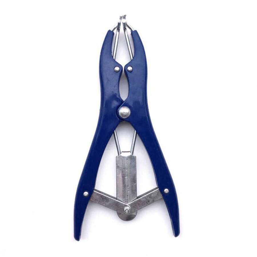 1 cái Kim loại Bóng bay Sự bành trướng Kìm Đổ đầy Quả bóng bay Miệng Mở rộng DIY Công cụ Đối với Trong suốt Bong bóng Bóng bay Đổ đầy Bông Giấy - Màu xanh lam - Xem 1