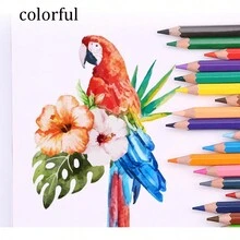 24色油性彩色鉛筆套裝,學生繪畫用色鉛筆,裝在桶裡 - 多色 - 查看 7