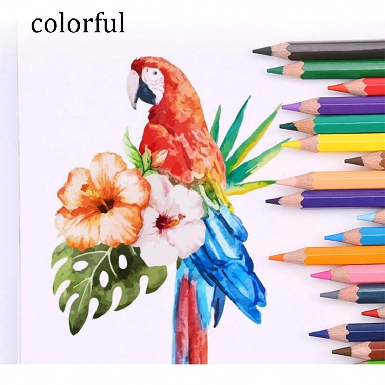 Set Of 24 Oil-Based Color Pencils, With A Bucket For Coloring, For Students, Drawing - Multicolor - View 7
