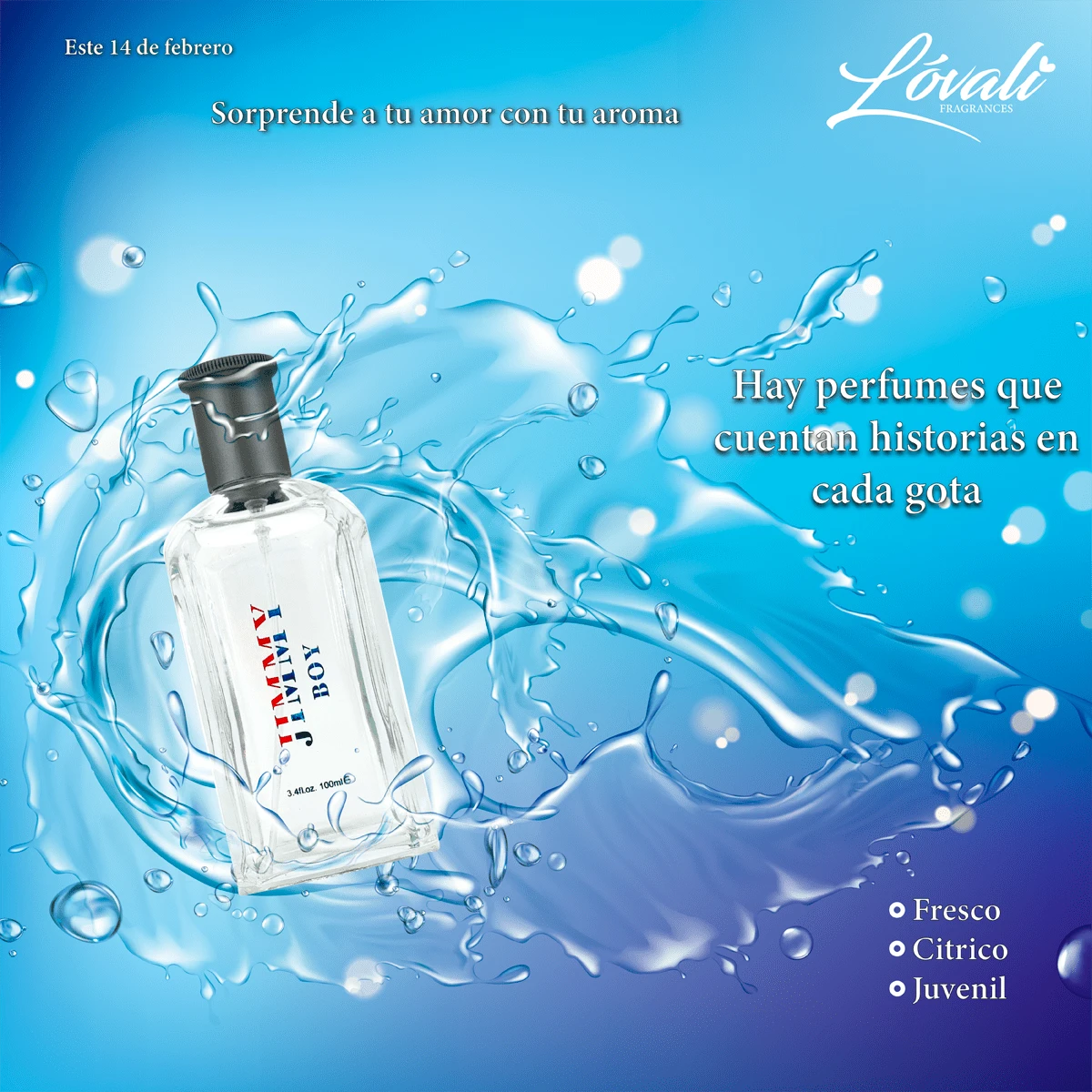 JIMMY BOY LOVALI GENTLEMAN PERFUME 100ML - Fresh - View 1