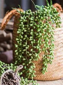 5 Branches Artificial Green Plants Couple Tears Indoor Decoration Hanging Basket Wall Decor Fake Plant, Valentine Day, Gift Gifts Birthday Graduation