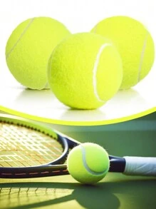 Set da 4 palle da tennis in feltro ad alta densità, pressurizzate, durevoli per allenamento ed esercizio, con borsa rete portatile, adatte per uso interno ed esterno, giocattoli per animali domestici