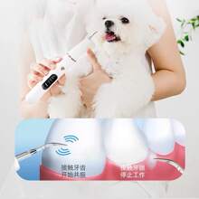 Eliminación de sarro para dientes, limpiador ultrasónico de dientes Zoomer con luz LED, kit de limpieza de dientes recargable, 4 cabezales reemplazables, carga tipo C - Blanco - Ver 4