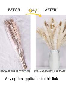 50PCS White Rabbit Tail & Pampas Grass Bouquet - Perfect For Diy Flower Arrangement, Wedding, Home Decor, Etc!, Valentine Day, Gift Gifts Birthday Graduation - Multicolor - View 2