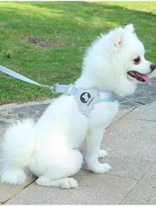 1入組y型犬用胸帶錶帶,帶反光條紋和透氣網布,可調節寵物胸帶,適用於泰迪和比熊犬 - 黑色 - 查看 6