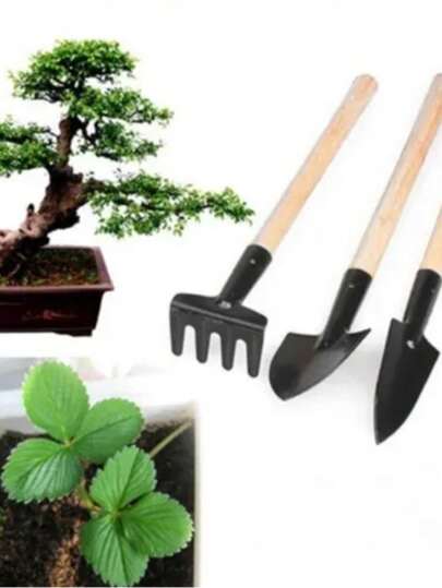 Mini Kit Jardinagem 3 Peças Cabo De Madeira Pá Ancinho para Vasos Terrarios