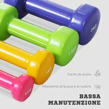 HOMCOM Manubri Pesi, Set Manubri Palestra da 10kg con Valigetta 4 Paia di Manubri Colorati (2x0.5kg, 2x1kg, 2x1.5kg, 2x2kg) - Multicolore - Visualizzare 7