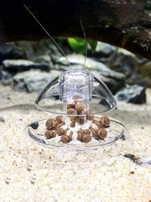蝸牛陷阱+捕捉箱,適用於水族箱中的魚、植物,清理水族箱中的害蟲和螺螄、水蚤,以及寄生于魚和植物的寄生虫（如活體珊瑚蟲、吸盤蟲、平腸蟲等）的清理工具 - 無色 - 查看 1