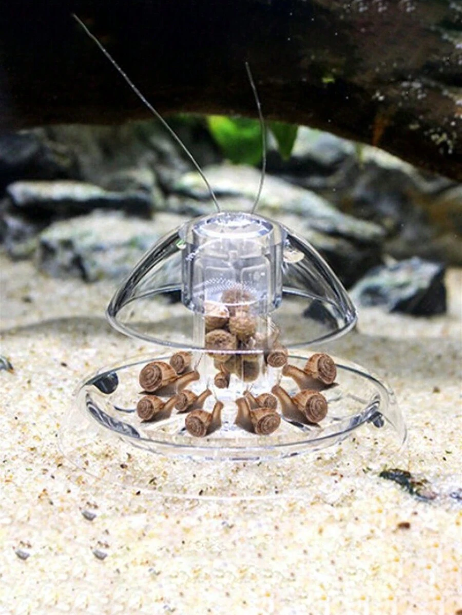 蝸牛陷阱+捕捉箱,適用於水族箱中的魚、植物,清理水族箱中的害蟲和螺螄、水蚤,以及寄生于魚和植物的寄生虫（如活體珊瑚蟲、吸盤蟲、平腸蟲等）的清理工具 - 無色 - 查看 1