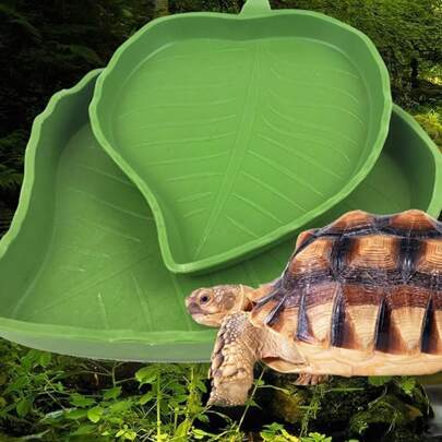 1入組楓葉形餵食碗和水盤,適用於爬蟲、烏龜、倉鼠、青蛙等,塑料製