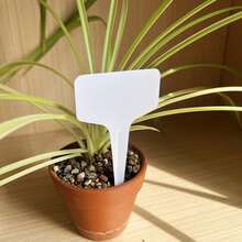 1 bộ Nhựa Không thấm nước Thực vật Nhãn , Lý tưởng Đối với Sân vườn Thực vật , Hoa , Cây mọng nước , Thủy canh , Nghề làm vườn Quân nhu - trắng - Xem 3