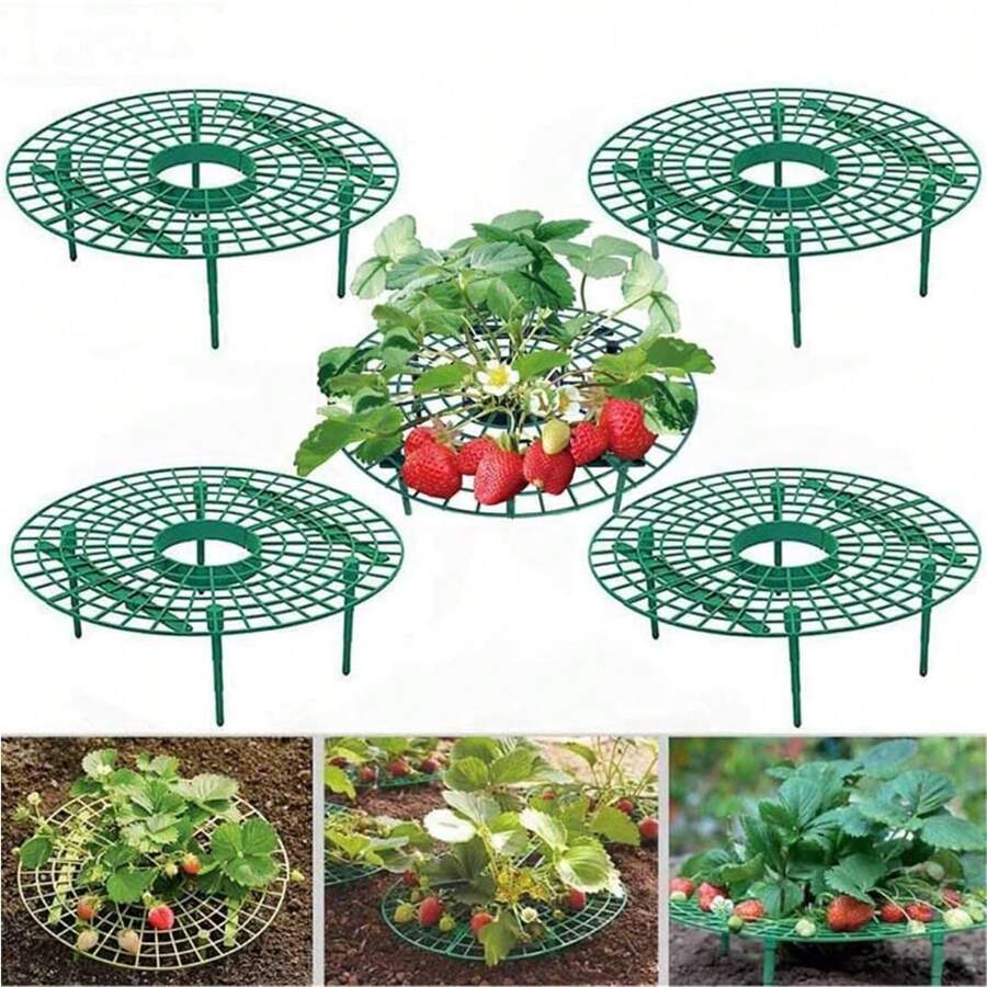 5Pcs Strawberry Plant Supports Strawberries Growing Racks Frame For