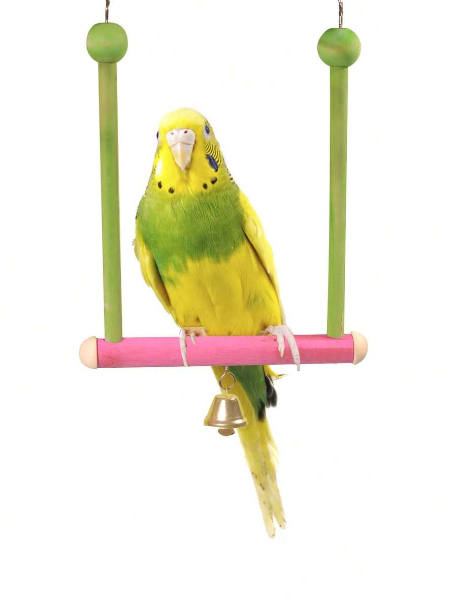 Image showcasing Parrot Supplies Bird Toy Swing Toy Game Swing Stand Small Frame Parrot ...