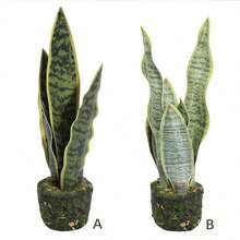 1 Miếng Nhiệt đới Sọc hổ Cây trồng trong chậu , Hoàn hảo Đối với Chinese Lễ hội mùa Xuân , Ngày Saint Patrick , Cây nhân tạo , PE Chất liệu , Màu xanh lá , Tuyệt vời Như Bàn Hoặc Phòng bếp Đồ trang trí , Cũng Thích hợp Đối với Trường học Ký túc xá , Văn phòng , Buổi tiệc , Lễ hội , Sinh nhật , Nhà  Lối vào , Khách sạn , Nhà hàng , Phòng khách , Phòng ngủ , Lễ cưới , Yến tiệc , Sân vườn Đồ trang trí , Màu xanh lá Trang trí - màu xanh lá - Xem 4