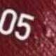 BG05