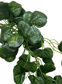 Artificial Plants - 胡椒屬 - 查看 1