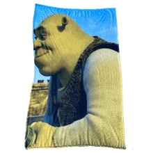 High Quality Sherk And Fiona Design Blanket - Green - View 1