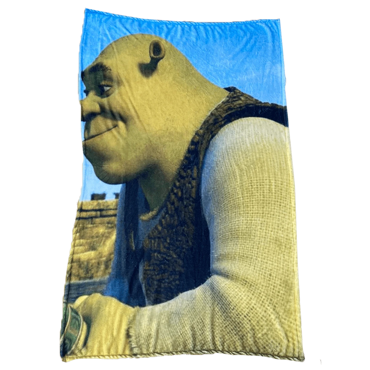 High Quality Sherk And Fiona Design Blanket - Green - View 1
