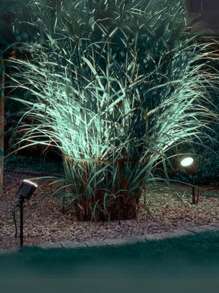 Projection Lights - 冷白 - 查看 4