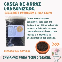 2 Litros Casca de Arroz Carbonizado Substrato para Forração Drenagem Proteção Aeração do Solo Cactos Suculentas Rosa do Deserto - Preto - Visão 5