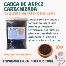 2 Litros Casca de Arroz Carbonizado Substrato para Forração Drenagem Proteção Aeração do Solo Cactos Suculentas Rosa do Deserto - Preto - Visão 4