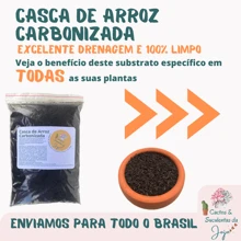 2 Litros Casca de Arroz Carbonizado Substrato para Forração Drenagem Proteção Aeração do Solo Cactos Suculentas Rosa do Deserto - Preto - Visão 2