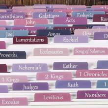 Cunese Pestañas laminadas de la Biblia de Cunese para mujeres y hombres, regalo cristiano con impresión grande de color púrpura y rosa, pestañas para aplicar y leer fácilmente en la Biblia para hacer anotaciones