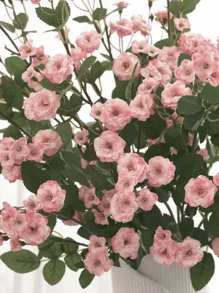 1 Bouquet/2 Bouquets 70cm Artificial Roses, Suitable For Wedding Decoration, Valentine's Day Decoration, Birthday Decoration, Anniversary Decoration, Home Decor, Tabletop Decor, Bedroom And Bathroom Decor, Desk Decor, Room Decor, Autumn Decor, Autumn Planter Decor, Also Applicable For Home, Party And Wedding Decoration, Valentine's Day, Graduation Gifts - Pink - View 5