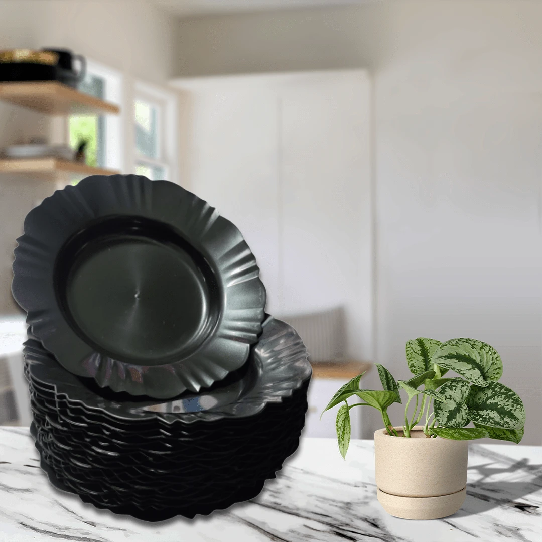 Plates - Noir - Voir 1