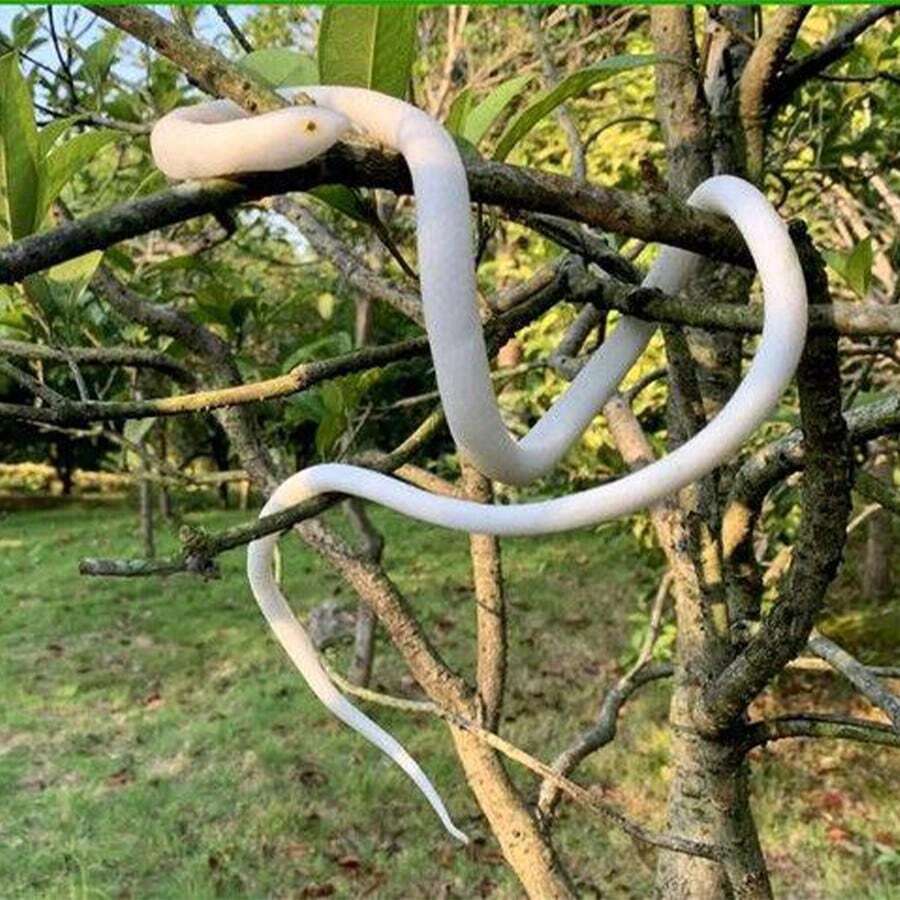 1pc Realistic Toy Snake Prank Scare White Python & Small Cobra Prop ...