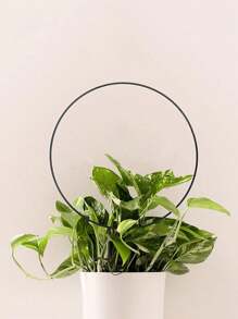 1pc/3pcs Circular Iron Garden Trellis Climbing Plant Support Spike