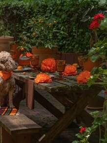 8入組橙色紙質花球和蓬鬆球派對裝飾,適用於婚禮、生日、嬰兒派對、節慶背景