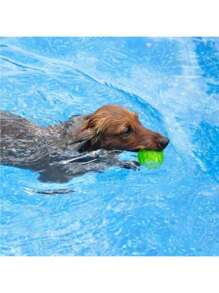 1入tpr橡膠超耐咬牙齒清潔彈性球玩具,帶聲音,適用於狗狗互動遊戲 - 綠色 - 查看 1