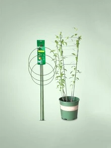 攀爬植物格子瓶植物支架支架攀爬diy花藤植物架立式花園番茄支撐籠花45厘米 - 綠色 - 查看 5
