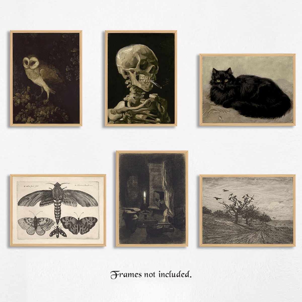 Conjunto de 6 carteles de lona para decorar habitaciones estilo Dark Academia - Decoración para el hogar gótica, Gato negro, cráneo, búho, mariposa, imágenes estéticas de Dark Academia, carteles espeluznantes de arte gótico, Arte de pared para decoración de habitaciones en negro, marcos impermeables sin marco - Idea de regalo ideal