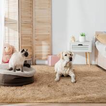 Available In A Variety Of Sizes And Colors Luxury Fluffy Area Rug Modern Shag Rugs For Bedroom Living Room, Super Soft And Comfy Carpet - 駝色 - 查看 6
