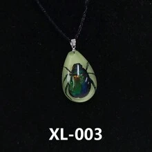 樹脂真昆蟲蜘蛛蠍子項鍊,夜光昆蟲琥珀吊墜