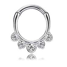 8件套16G不锈钢锆石鼻中隔饰品，男女通用，耳骨耳环，银色鼻环，适合日常、派对和聚会佩戴 - 8pcs-Silvery - 查看 7