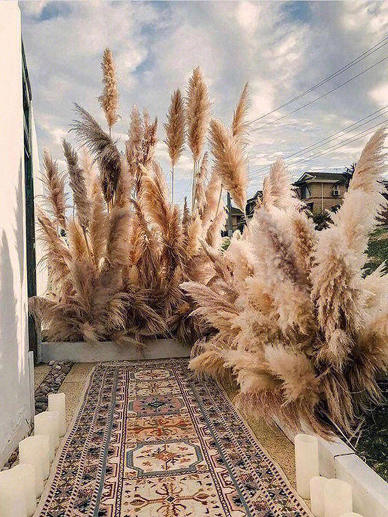 10/20 Pcs 39''Tall (2024 New Pampas Reed Production)Natural Pampas