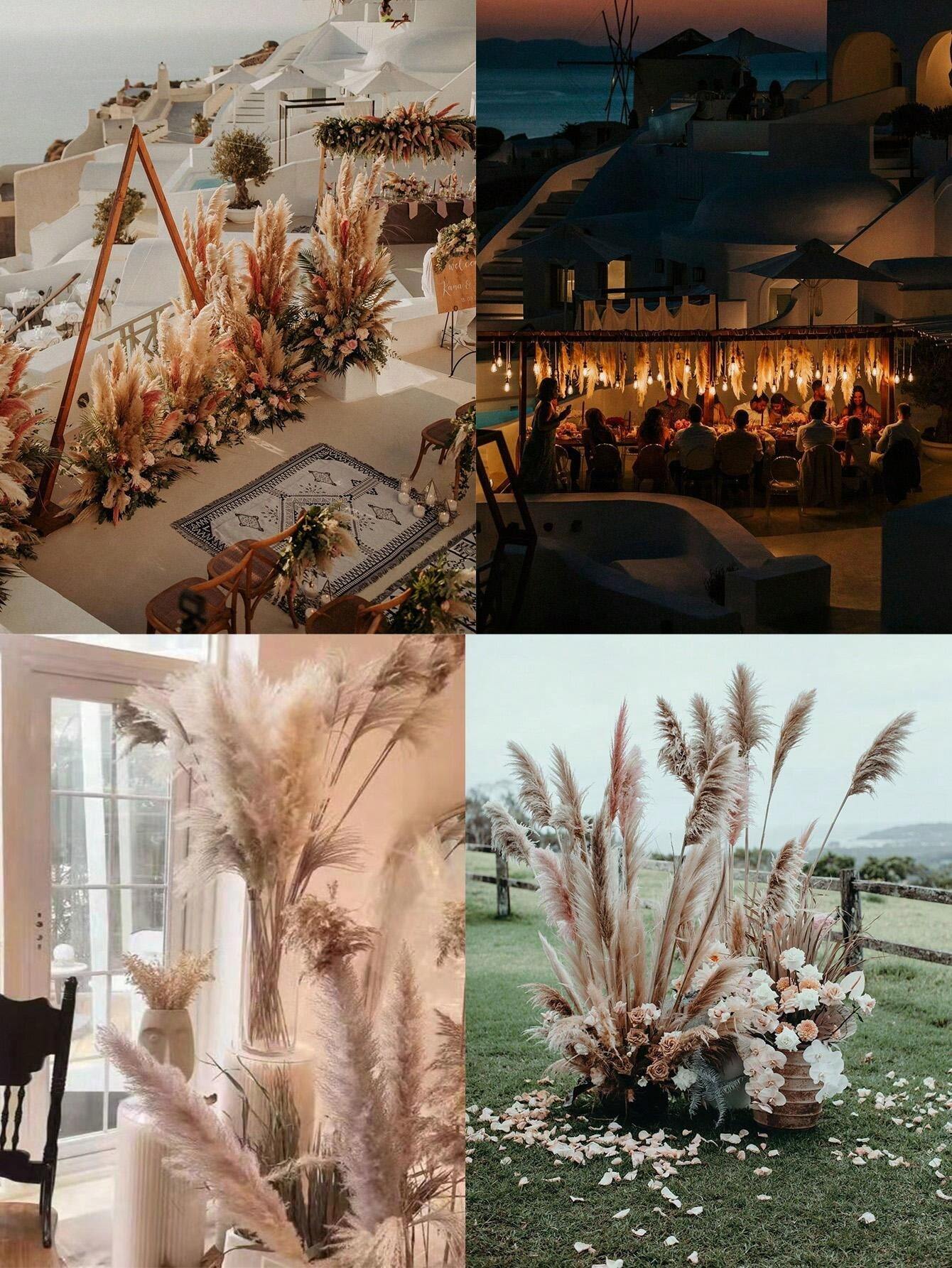 10/20 Pcs 39''Tall (2024 New Pampas Reed Production)Natural Pampas