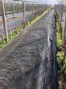 1PC PP Woven  Control Fabric For Plant Anti Grass Agricultural Mulch Cloth Greenhouse Ing Mat Water Permeable