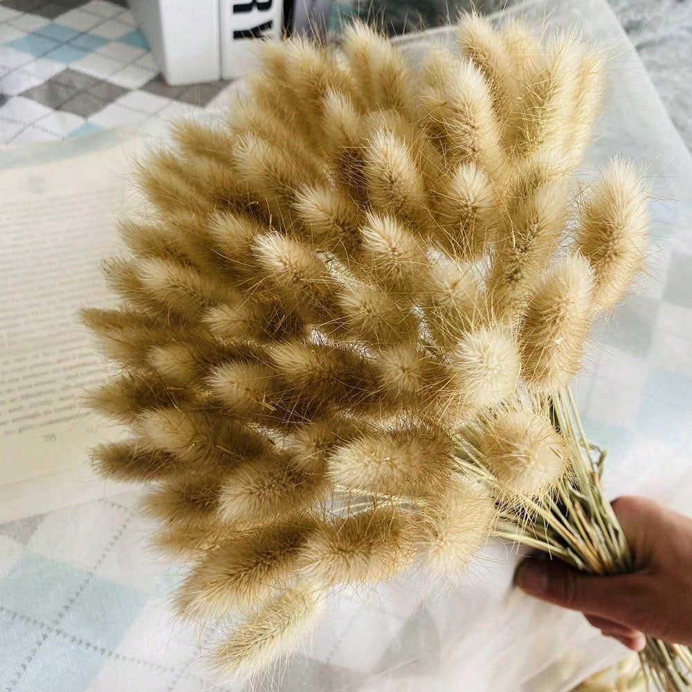 Natural Pampas Grass Dried Flower In Original Color With Rabbit Tail