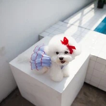 1pc Thin Summer Pet Dress For Small Dogs/Cats Such As Teddy, Pomeranian Including Princess Style Design - Blue - View 5