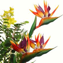 HAOSHICS 3Pcs Artificial Heaven Bird Flowers,Fake Bird Of Paradise Strelitzia,Faux Silk Plants For Home Office Wedding Table Centerpeice Decor, Valentine Day, Gift Gifts Birthday Graduation