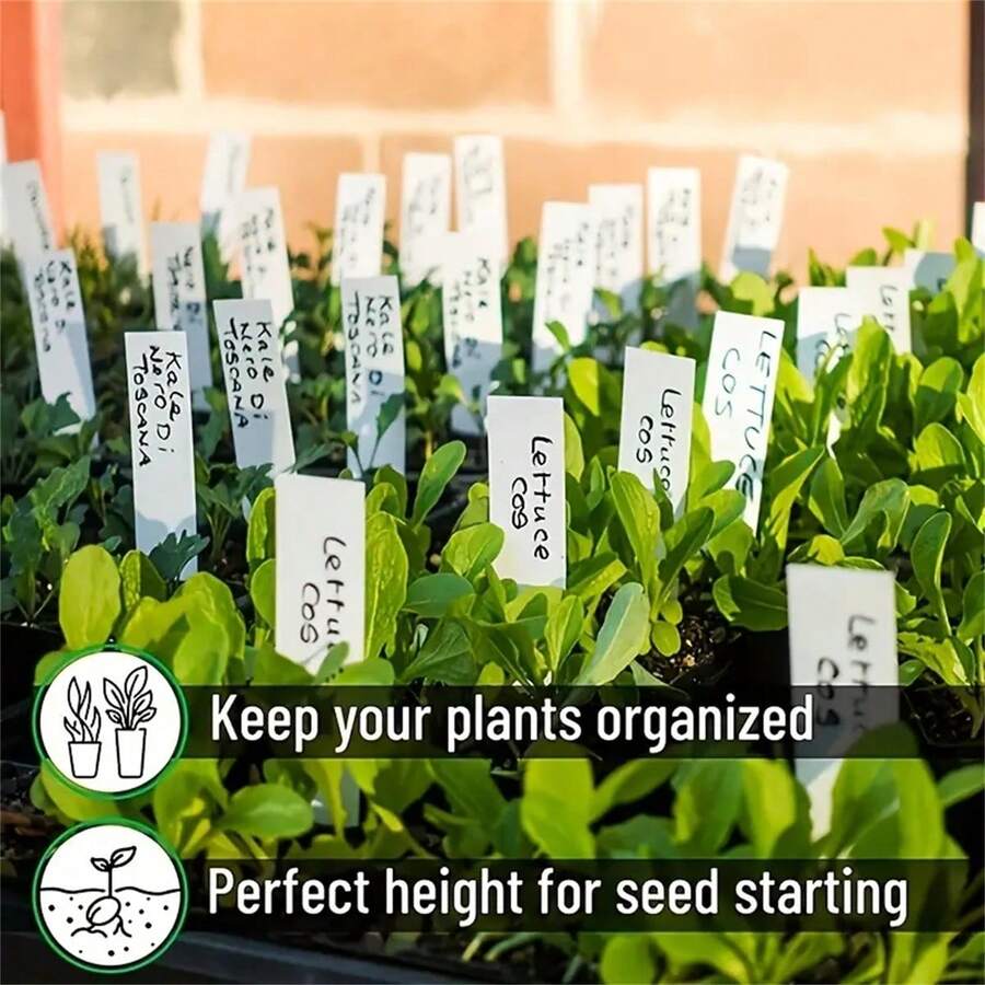 50/100 Set Nursery Plant Pots, Small Seed Starting Pots, Plastic Flower