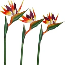 HAOSHICS 3Pcs Artificial Heaven Bird Flowers,Fake Bird Of Paradise Strelitzia,Faux Silk Plants For Home Office Wedding Table Centerpeice Decor, Valentine Day, Gift
