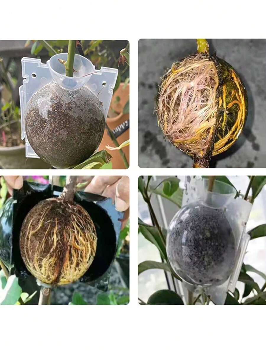Plant Rooting Ball High Pressure Graft Breeding Case Nursery Box Propagation Container Garden Seeds Rooting Tools Boxes - Black - View 1