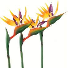 HAOSHICS 3Pcs Artificial Heaven Bird Flowers,Fake Bird Of Paradise Strelitzia,Faux Silk Plants For Home Office Wedding Table Centerpeice Decor, Valentine Day, Gift Gifts Birthday Graduation